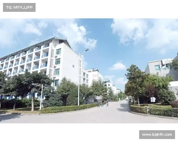 快速提升英雄联盟段位的高效实战技巧与上分策略全方位指南 快速提升英雄联盟段位的高效实战技巧与上分策略全方位指南
