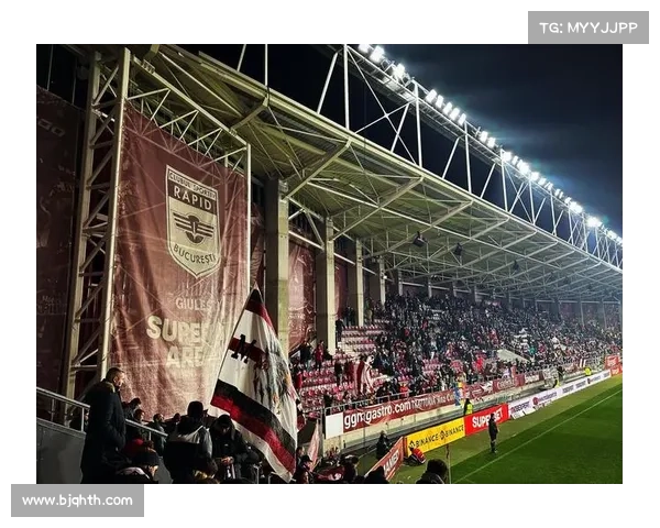 从球场激情到生活态度探索纳英戈兰与使用行为之间的深层关系